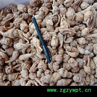 丽丽药业 黄玛卡 中药材批发 丽江黄玛卡黄玛卡个子正品保证实图拍照7天无理由退货退款图2