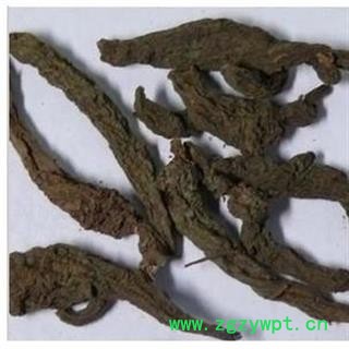 红大戟 净含量500克 进口货正品保证质量7天无理由退货退款 华安堂图2