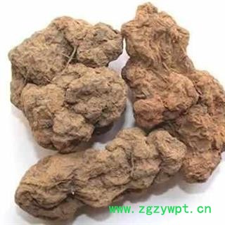 朱砂莲个子 正品保证质量无理由退货退款图4