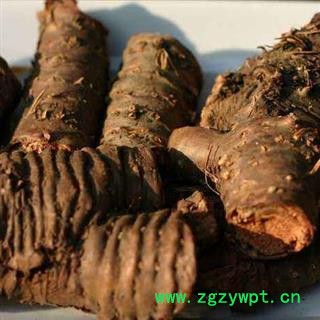 红景天个子大统货正品保证质量7天无理由退货退款 中药材批发 丽丽药业图2