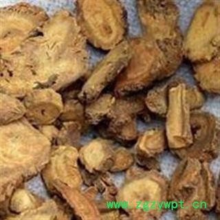 大黄 甘肃大黄家种水根片 产地 甘肃省图2