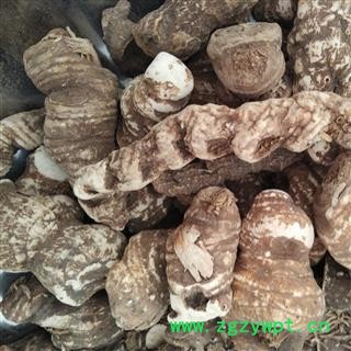 重楼 国产重楼选货 产地 四川省 华美中药 产地直销 重在品质图2