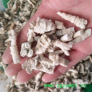 新辉药业正品鹅管石 钟乳滴乳石 珊瑚鹅管石图2