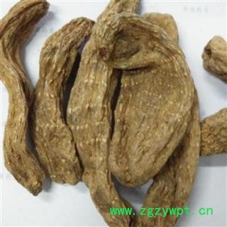 天麻@【华美中药】中药材批发供应【天麻】图2