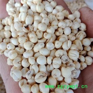 平贝母 小平贝母 走保证质量7天无理由退货退款 中药材批发 丽丽药业图2