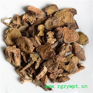 牛西西 羊蹄根 羊铁叶 羊蹄跟 土大黄 华安堂图4