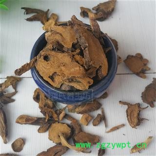 牛西西 羊蹄根 羊铁叶 羊蹄跟 土大黄 华安堂图2