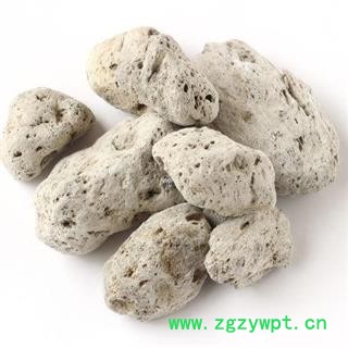 海浮石 统 产地 山东省 产地直销 重在质量图3