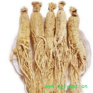 人参个子 带须人参个大好人参正品保证质量7天无理由退货退款 中药材批发 丽丽药业图4