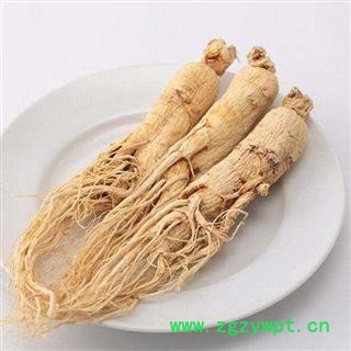 人参个子 带须人参个大好人参正品保证质量7天无理由退货退款 中药材批发 丽丽药业图2