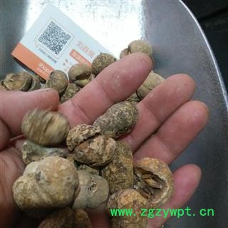 浙贝母 无硫浙贝个 浙贝母个 大贝 贝母 无硫 产地 浙江省图2