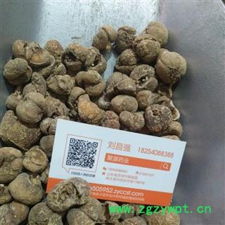 浙贝母 无硫浙贝个  浙贝母个 大贝  贝母  无硫 产地 浙江省图4