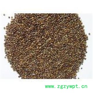 沙苑子 统 产地 陕西省渭南市华县图2