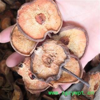 安祁名药碧桃干 山梨干 梨干图2