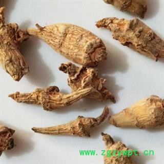 三七 水洗三七芽 产地 云南省图3