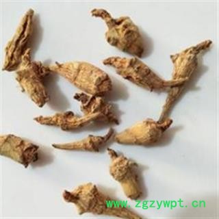 三七 水洗三七芽 产地 云南省图2