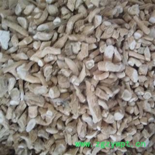 板蓝根 中选货   产地 山东省图3