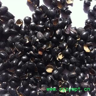 德誉堂药业 黑豆衣 黑豆皮   批发各种中药材图4