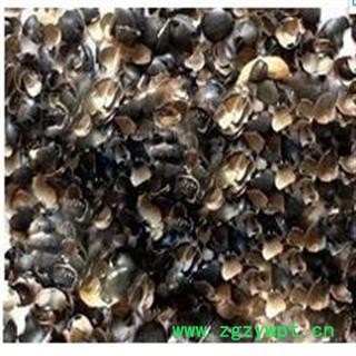 德誉堂药业 黑豆衣 黑豆皮   批发各种中药材图3