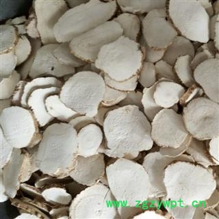 白芷 统 假一赔十 量大电议  产地 山东省图2