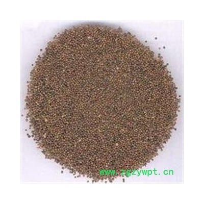 紫苏子  统 小苏子 产地 四川省 德誉堂药业批发各种中药材