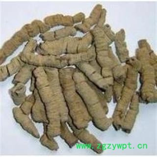 巴戟肉 巴戟肉二级个0产地 广西壮族自治区图2