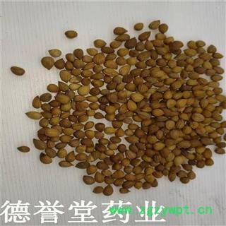 郁李仁 统 郁李仁 产地 内蒙古自治区 批发各种中药材图4