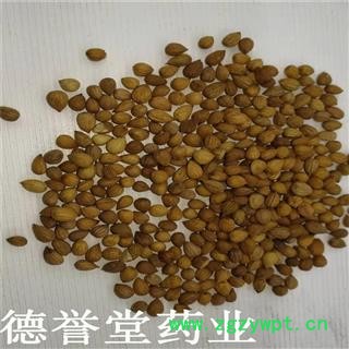 郁李仁 统 郁李仁 产地 内蒙古自治区 批发各种中药材图3