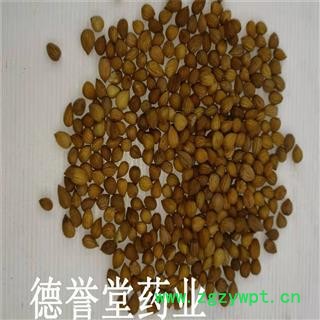 郁李仁 统 郁李仁 产地 内蒙古自治区 批发各种中药材图2