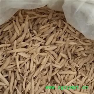 麦冬 麦冬 统货 产地 山东省图2