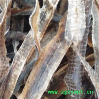 地龙 精品选装地龙半开个 产地 广西壮族自治区图2