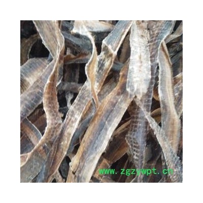 地龙 精品选装地龙半开个 产地 广西壮族自治区