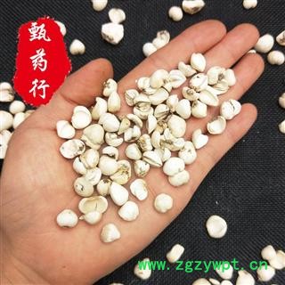 川贝母 青贝正品碎瓣高性价比 一手货源批发 产地四川 甄选药材行图3