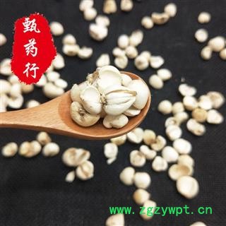 川贝母 青贝正品碎瓣高性价比 一手货源批发 产地四川 甄选药材行图4