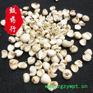 川贝母 青贝正品碎瓣高性价比 一手货源批发 产地四川 甄选药材行图2