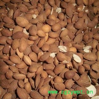 山桃仁 统 桃仁 产地 内蒙古自治区 库存 100公斤可售图2