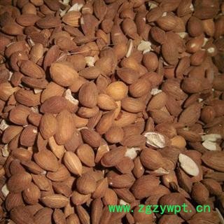 山桃仁 统 桃仁 产地 内蒙古自治区 库存 100公斤可售图3