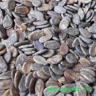 安祁名药西瓜 西瓜籽图2