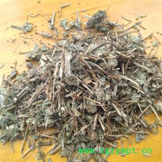 安祁名药中药材夏枯草  另有夏枯球图2