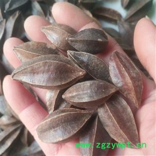 安祁名药优质使君子 使君子仁图2