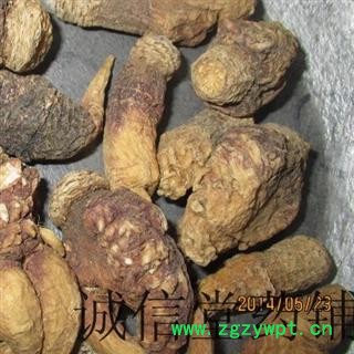 玛卡 紫玛咖 统 产地 云南省丽江市  德誉堂批发各种中药材图3