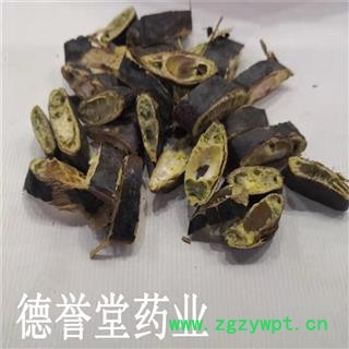 皂角 皂荚 大皂角片 产地 山东省 德誉堂药业批发各种中药材图2