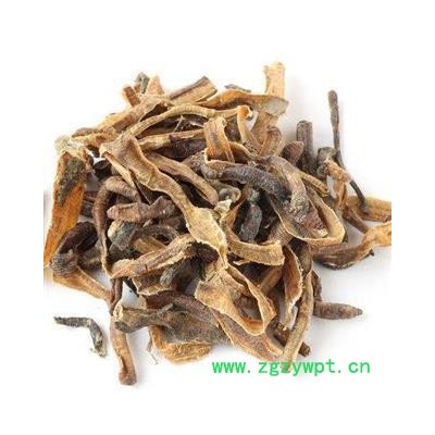 地龙 精品小地龙大开货 产地 广西壮族自治区