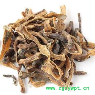 地龙 精品小地龙大开货 产地 广西壮族自治区图2