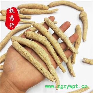 西洋参 10克长条 一手货源批发1公斤装 产地吉林 甄选药材行 为你真选好药材图2