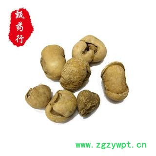 贝母 浙贝母无硫选个 1公斤装图4