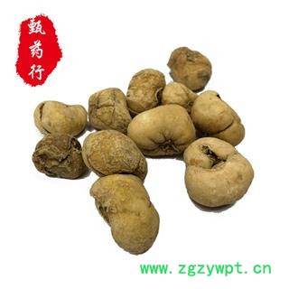 贝母 浙贝母无硫选个 1公斤装图2