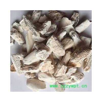 龙骨 大统块 黏舌头 产地 甘肃省