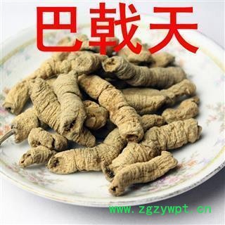 巴戟 巴戟肉一级个0.8 产地 广东省图2