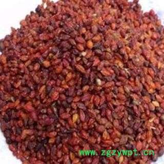 沙棘 选 沙棘 产地 新疆 诚信堂药铺批发各种中药材图2